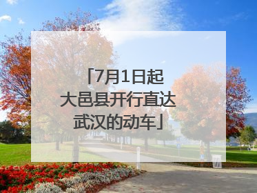 7月1日起 大邑县开行直达武汉的动车
