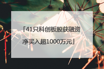 41只科创板股获融资净买入超1000万元