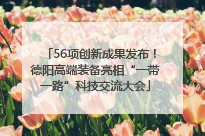 56项创新成果发布！德阳高端装备亮相“一带一路”科技交流大会