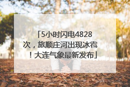 5小时闪电4828次，旅顺庄河出现冰雹！大连气象最新发布