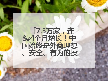 7.3万家，连续4个月增长！中国始终是外商理想、安全、有为的投资目的地