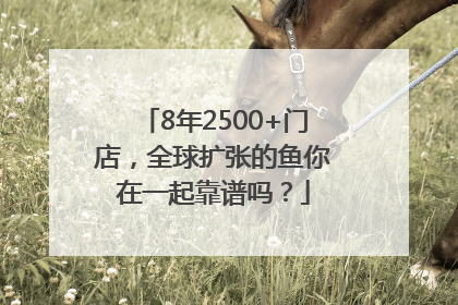 8年2500+门店，全球扩张的鱼你在一起靠谱吗？