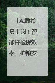 AI质检员上岗！智能扦检提效率、护粮安