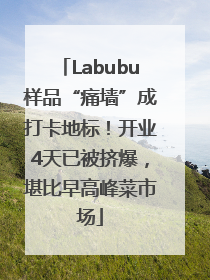 Labubu样品“痛墙”成打卡地标！开业4天已被挤爆，堪比早高峰菜市场